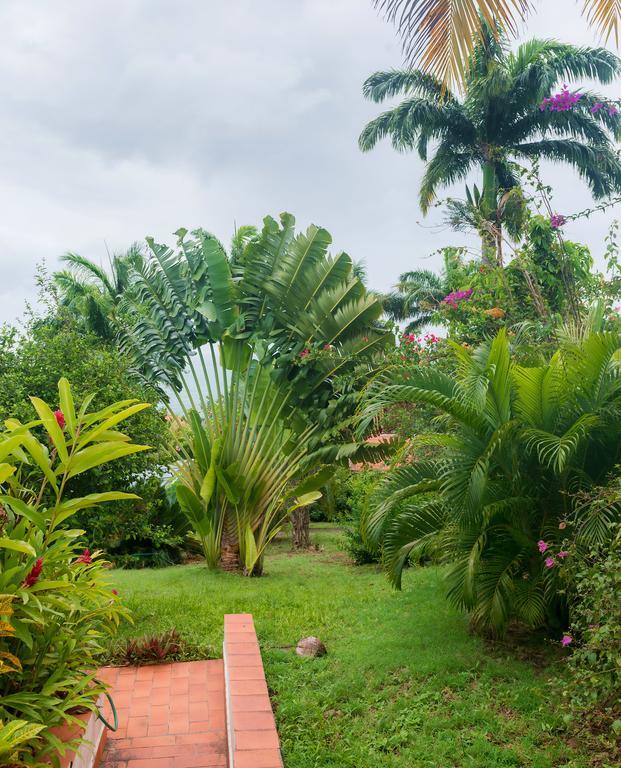 Royal Palm Holiday Apartment Mero Bagian luar foto